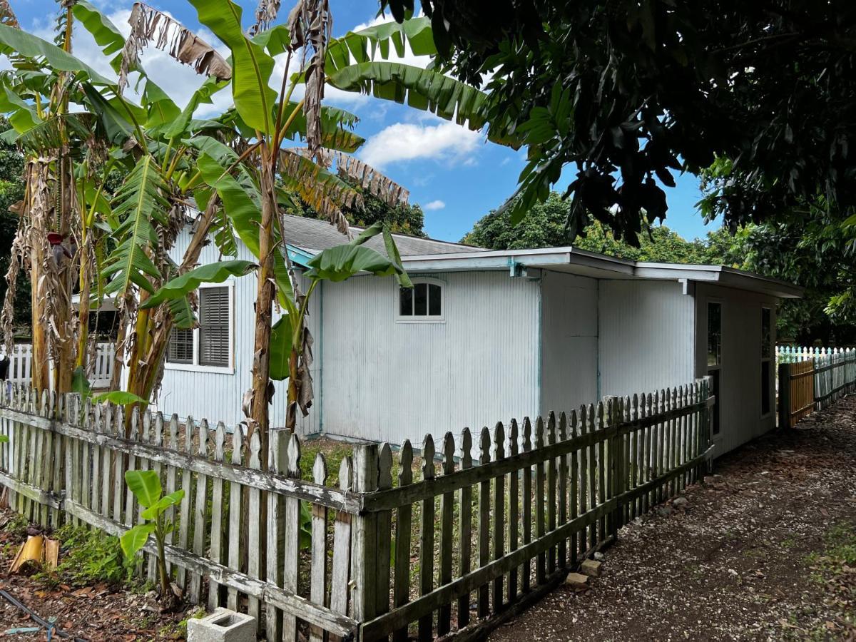 Maria'S Farm House 霍姆斯戴德 外观 照片